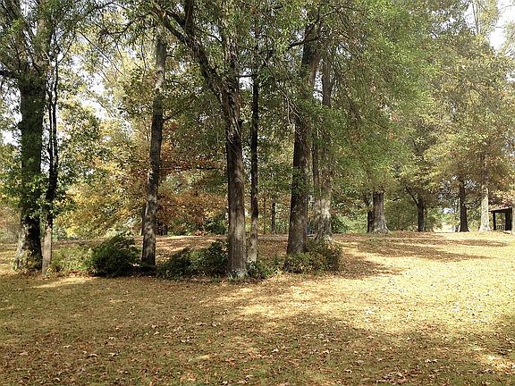 3rd image of 4850 Winesap Dr