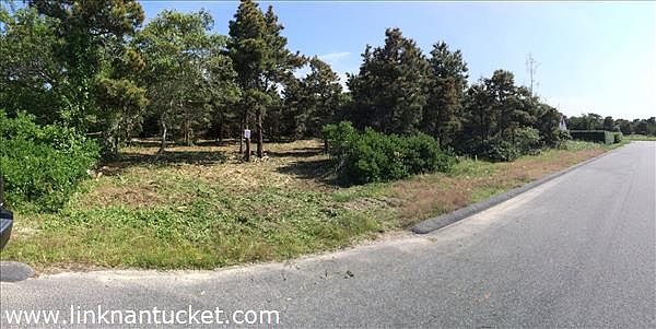 curb cut in place- lot cleared for viewing lot is staked and tagged