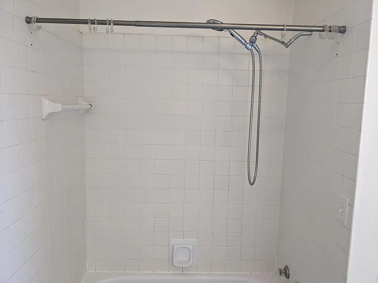 Primary bathroom shower