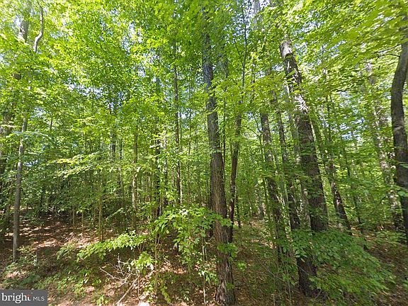 3rd image of 8944 Jessie Dupont Mem Hwy