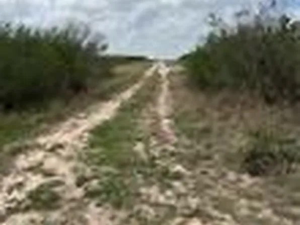 0 Blackbrush Spur, George West, TX 78022