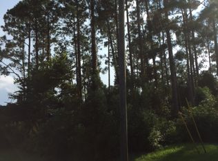 5 Pepper Ln, Palm Coast, FL 32164