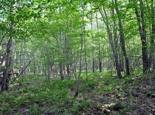 0 Brick House Hill Rd, Davenport, NY 13757