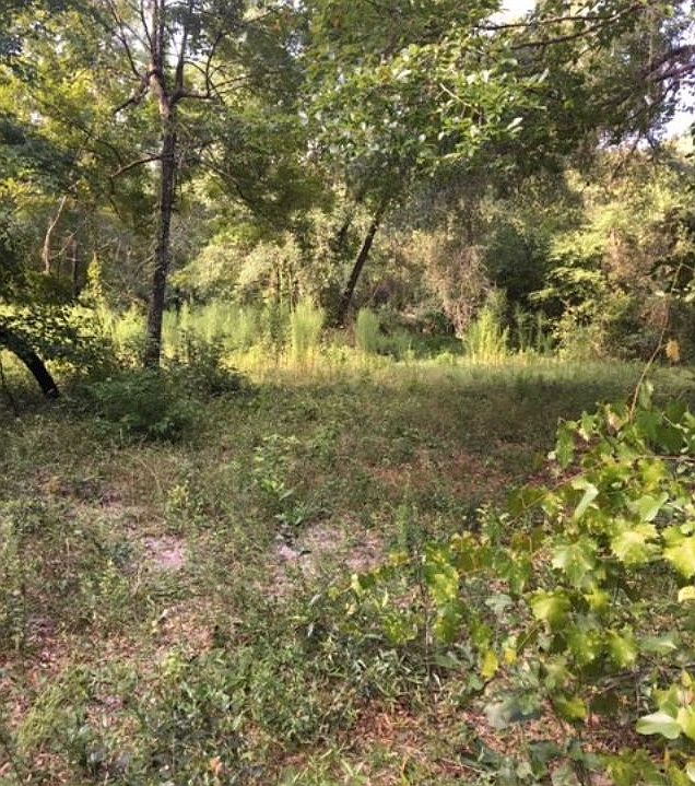 1st image of Tbd 86th Drive