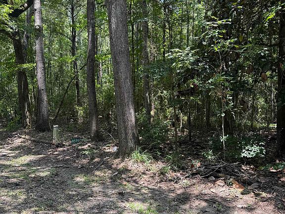 3rd image of Jones Vaughn Creek Rd