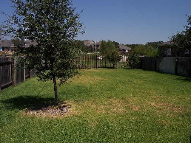 Great Backyard