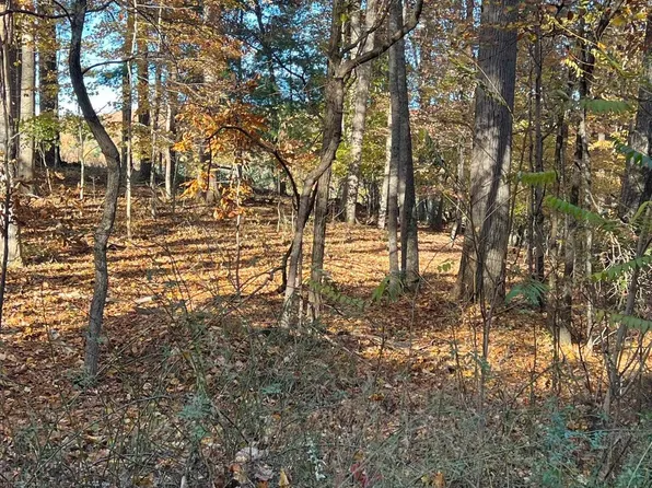 Drifty Ln, Wytheville, VA 24382