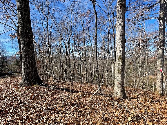 5th image of LOT 24 Chatuge Hts