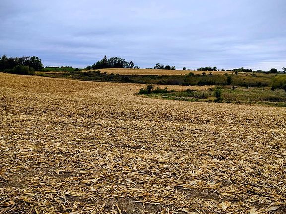 5th image of 292nd St