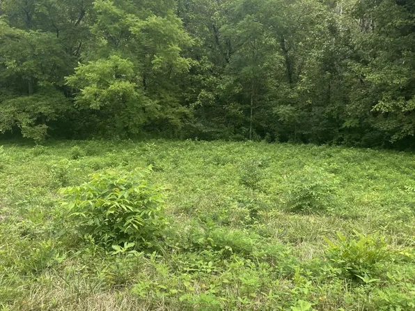 0 Hinds Creek Rd, Maynardville, TN 37807