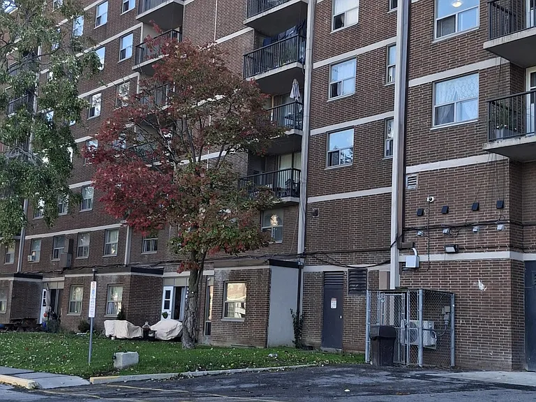 1040 Cedar St #280 — Photo 3