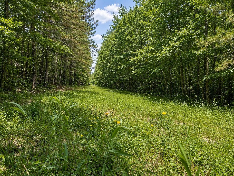 1st image of State Highway 17