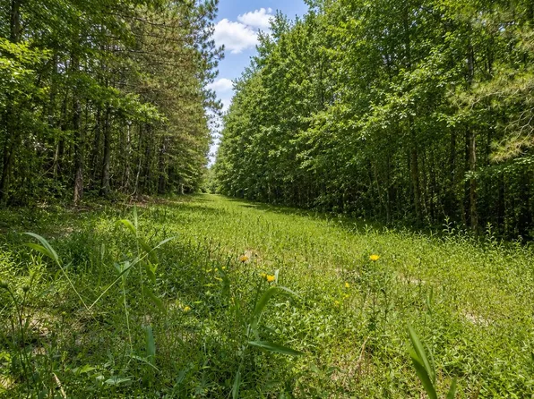 State Highway 17, Millport, AL 35576