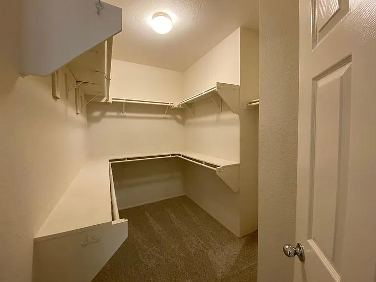 29705 Nandina Dr — Photo 40