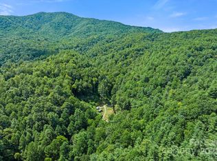 Bluff Mountain Rd #HOT, Hot Springs, NC 28743