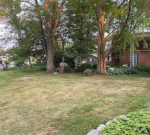 Backyard double lot 