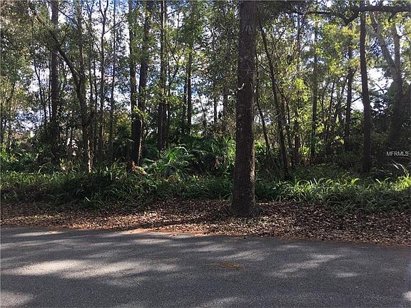 4th image of 628 Silver Creek Dr