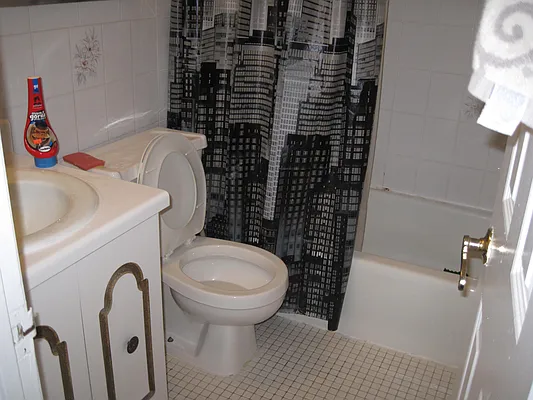 Rented by 18 REALTY | media 15