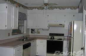 Large Kitchen