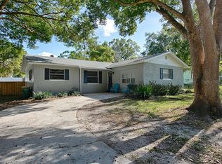 176 Lake Franklin Dr, Mount Dora, FL 32757