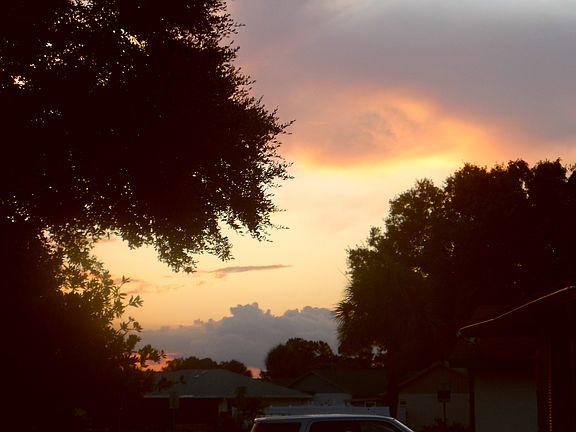 Front yard view