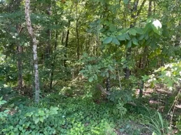 0 Mount Pinson Rd Lot 0, Jackson, TN 38301
