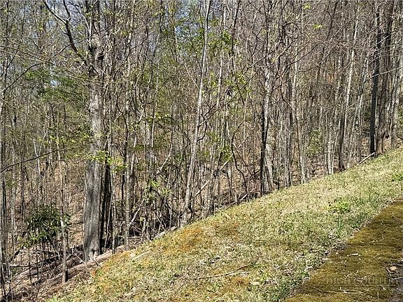 5th image of 24 Elk Mountain Loop