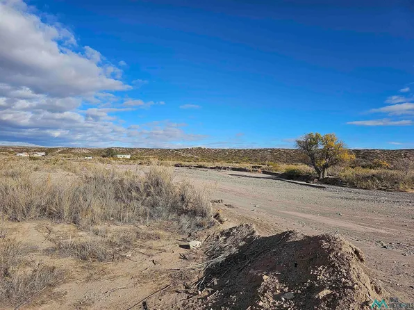Las Palomas Rd, Williamsburg, NM 87942