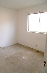 5th image of 3618 Whispering Woods Dr