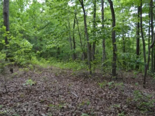 6 Forest Trails Ln, Celina, TN 38551