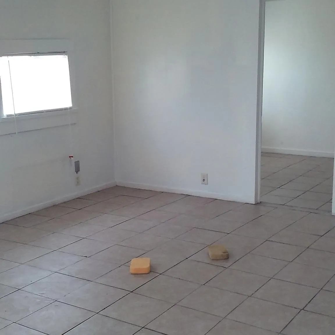 2 bed, 875 sqft, $1,200 — Photo 4