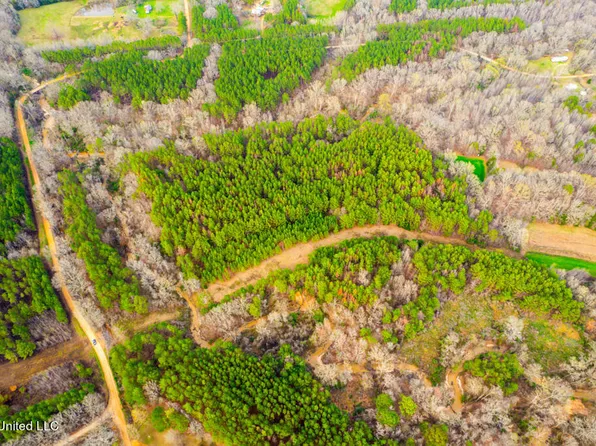 2750 Owens Cut Off Rd, Lexington, MS 39095