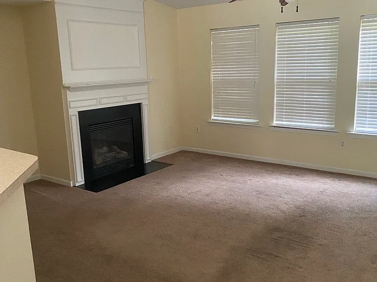 300 Southmen Ln #1 — Photo 3