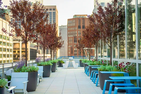 Rented by Metro Loft Management | media 23