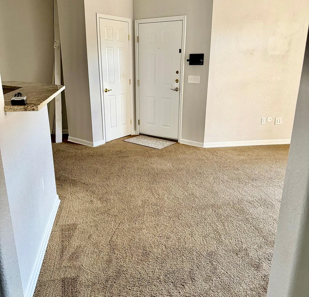 2 bed, 1000 sqft, $1,799 — Photo 4
