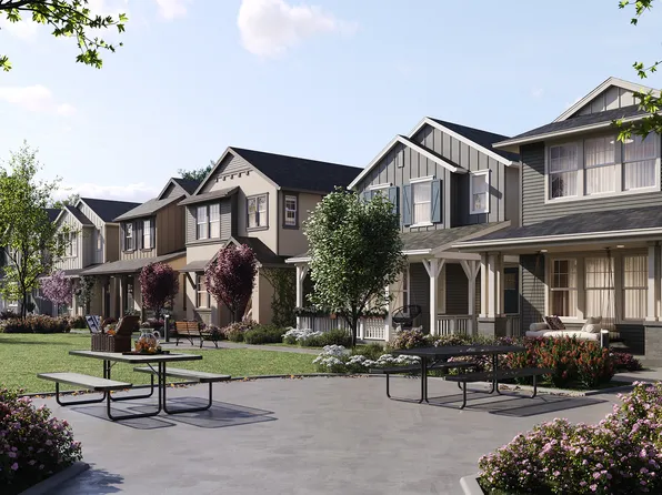 The Marigold Plan, Ava Lane