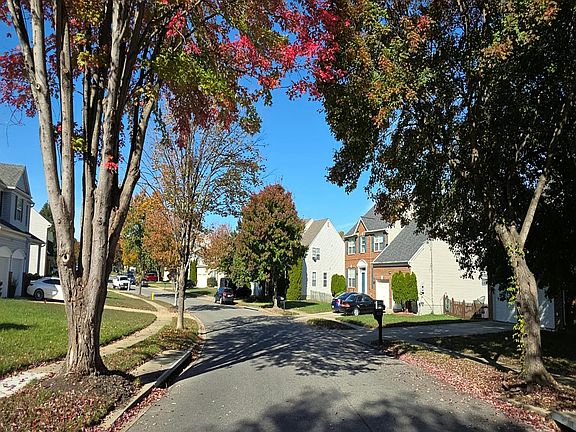 5th image of 11318 Wildmeadows St