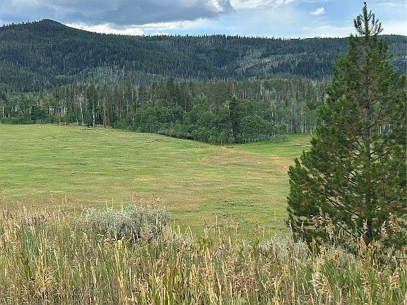 3rd image of TBD Halter Trail