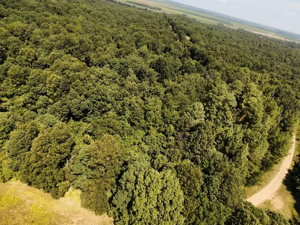 2 County Road 449, Pollard, AR 72456