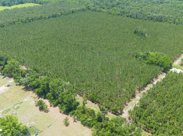 6 221st Rd, Live Oak, FL 32060
