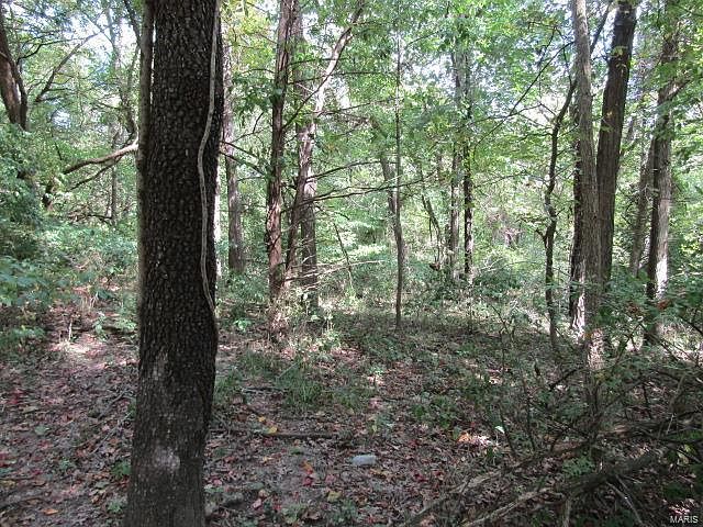 2nd image of 0 E 12th St