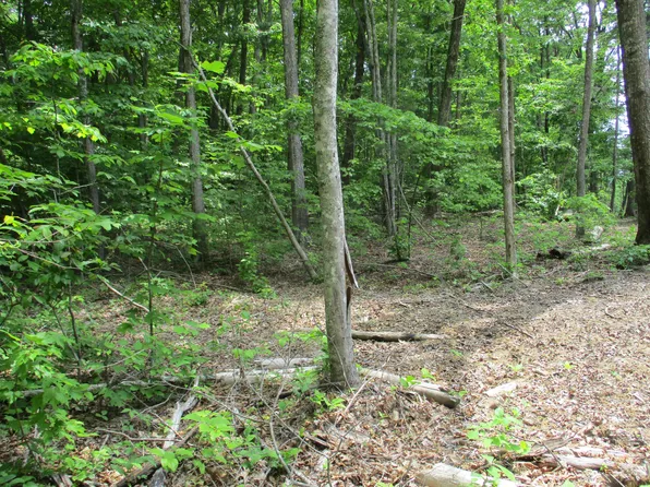 0 McNeices Ridge Rd Unit 293, Pikeville, TN 37367