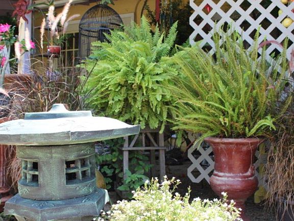 Stoneware and plant material