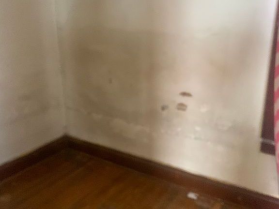 3rd image of 238 Cambridge Ave