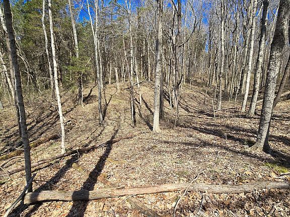 3rd image of 0 Spangler Rd