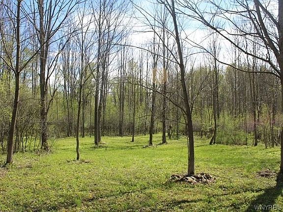 5th image of 330 Cummings Rd