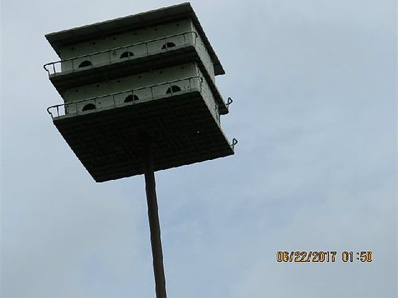 4th image of 8250 Joe Brown Hwy N