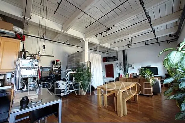Rented by Dream Space Realty | media 14