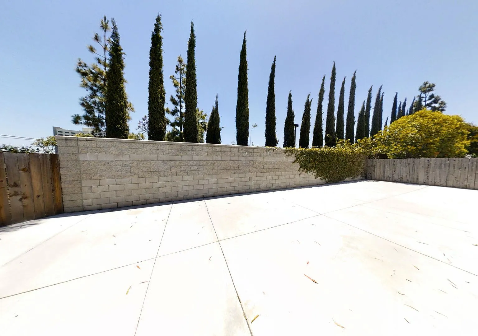 Large Property w/ 2 Kitchens!! — Photo 2