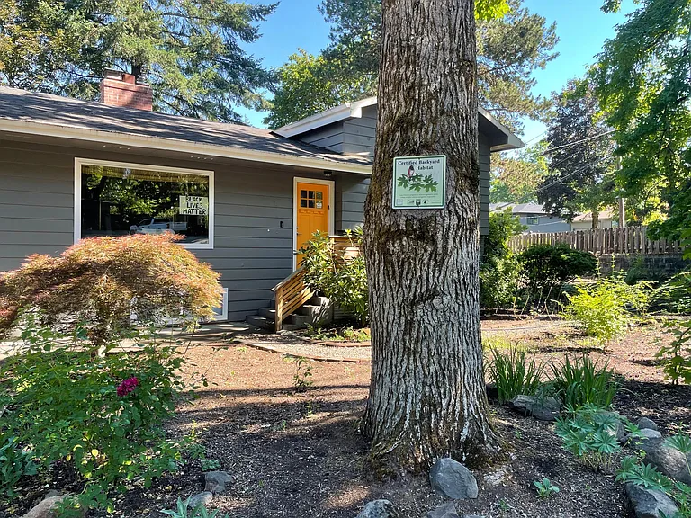 Gold certified backyard Habitat. Bird haven!